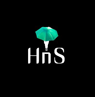 에이치엔에스 HnS