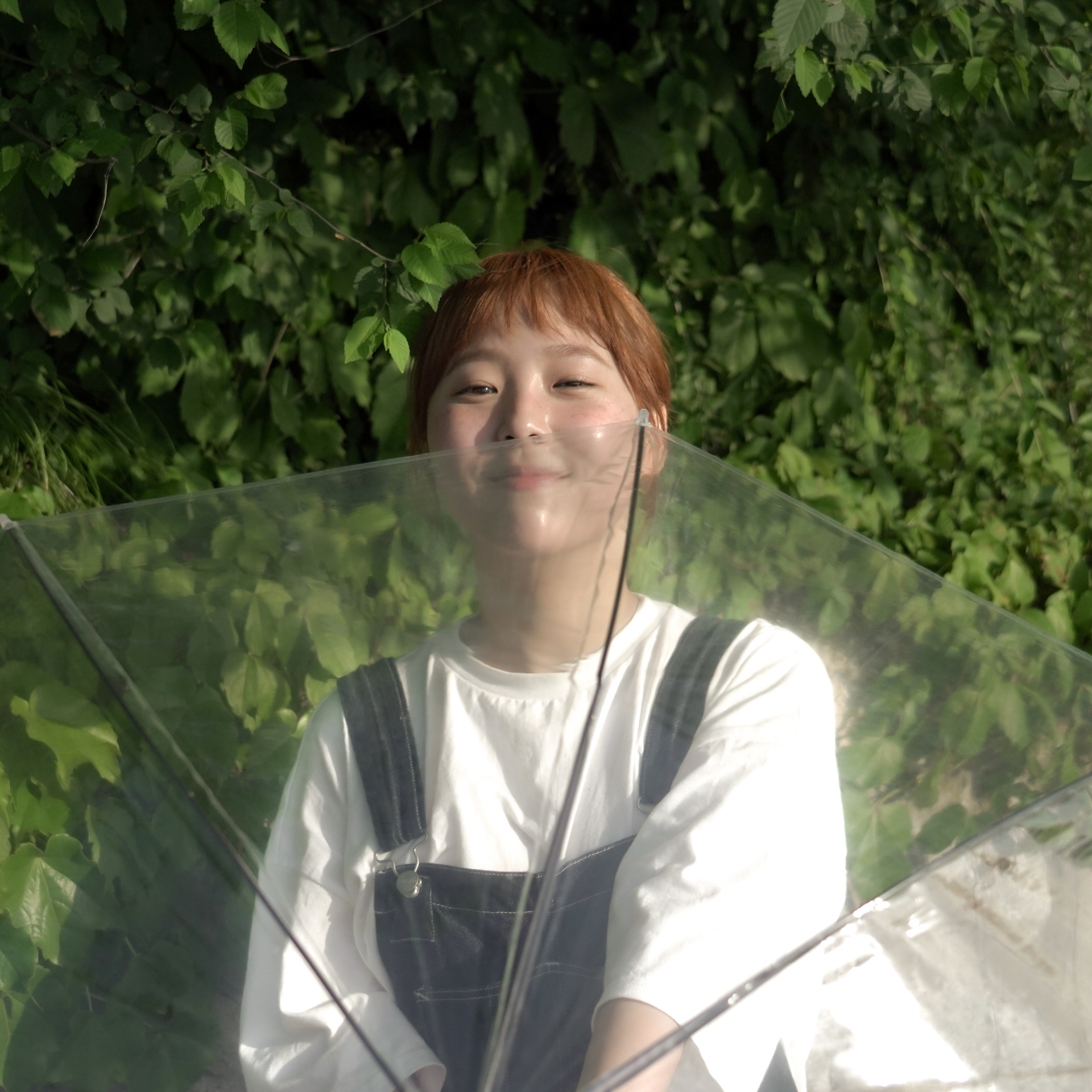 모래 Morae