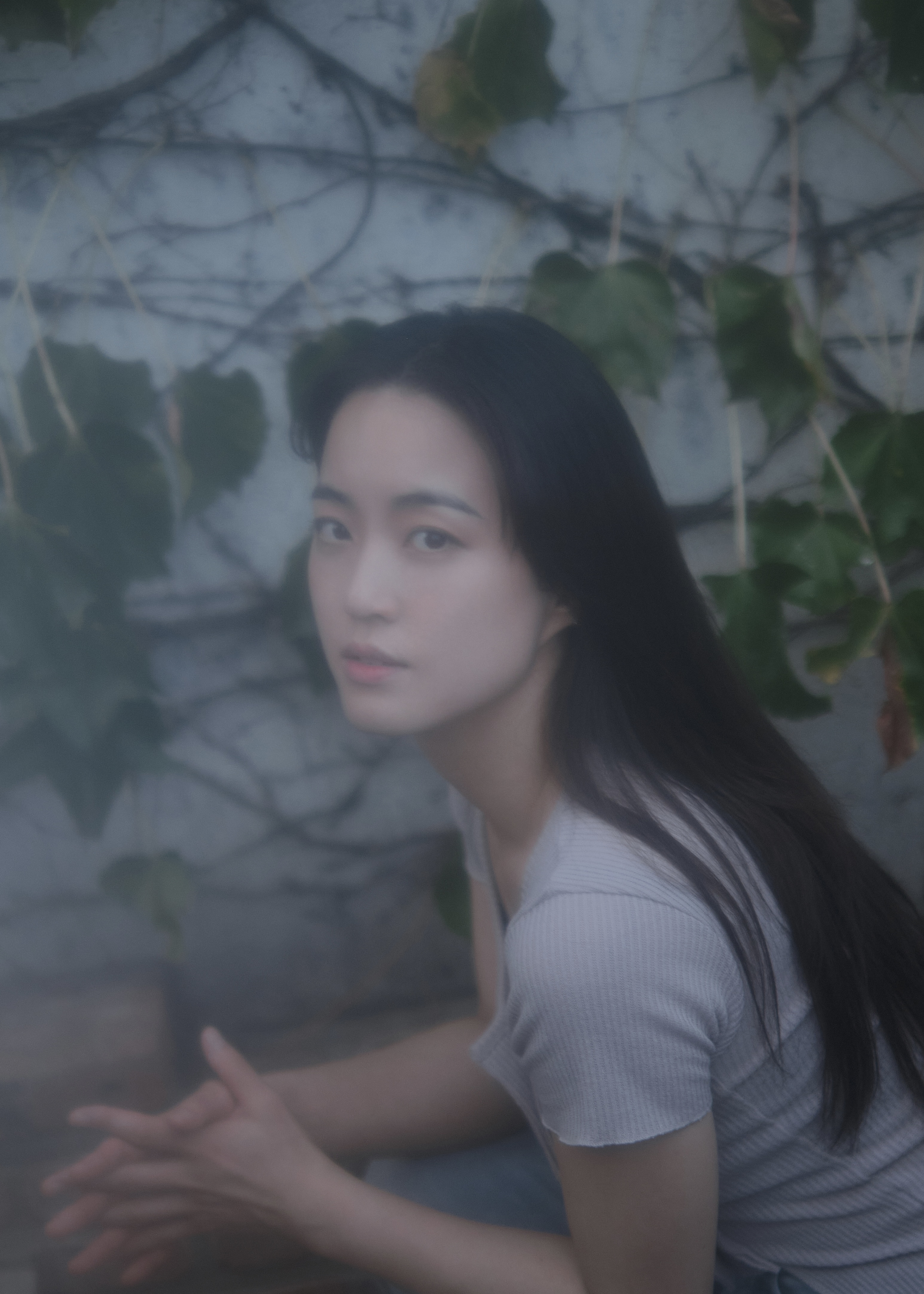  림 (LIM)