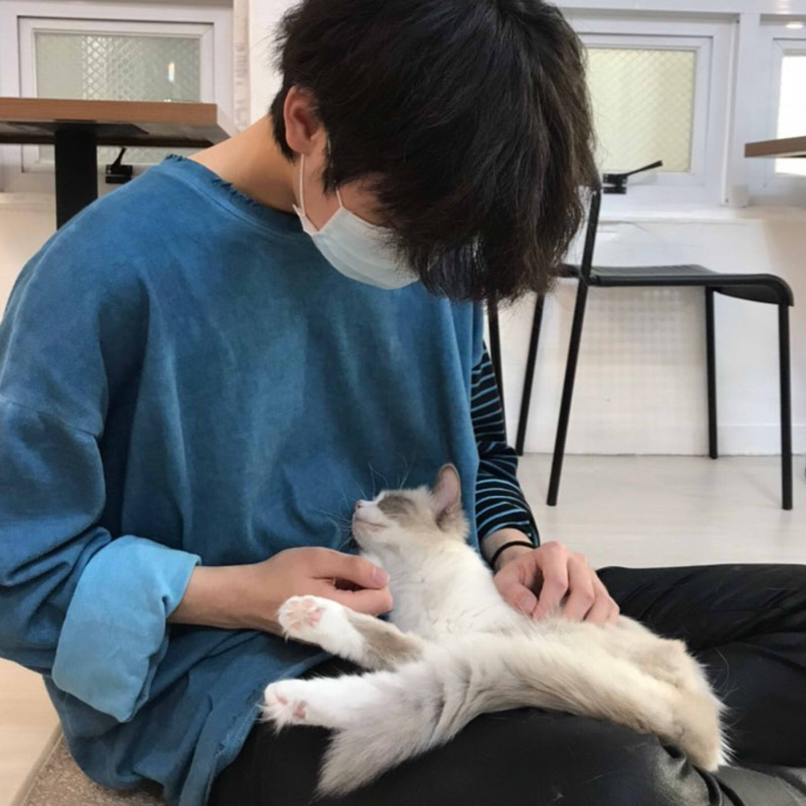 엘 L