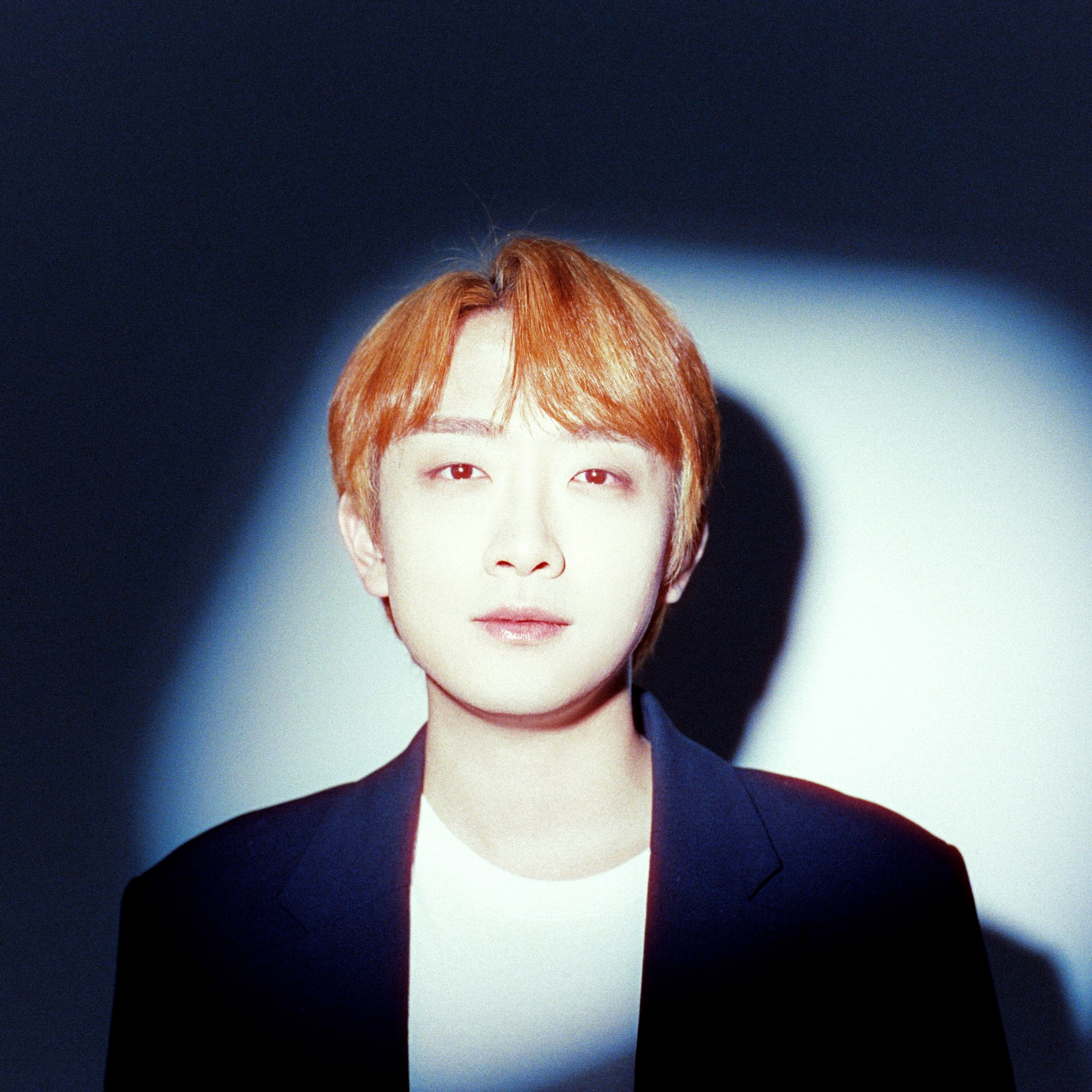 유토피 Utopi